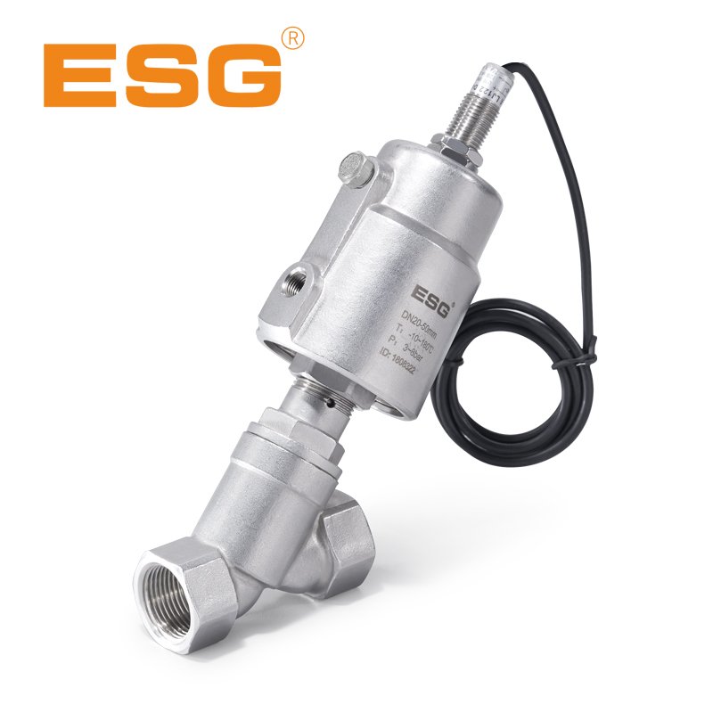 ESG Angle Seat Valve 100 series